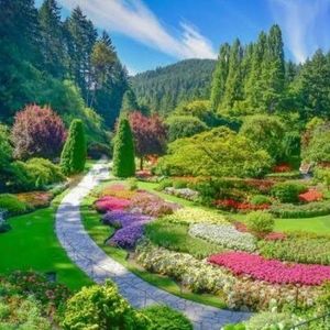 Meet your Posher, Bertha